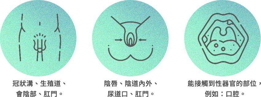 正和菜花_img2